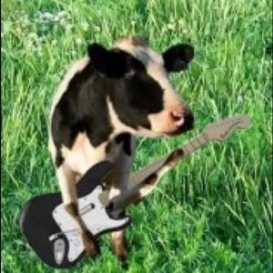 Meet your Posher, Alexander